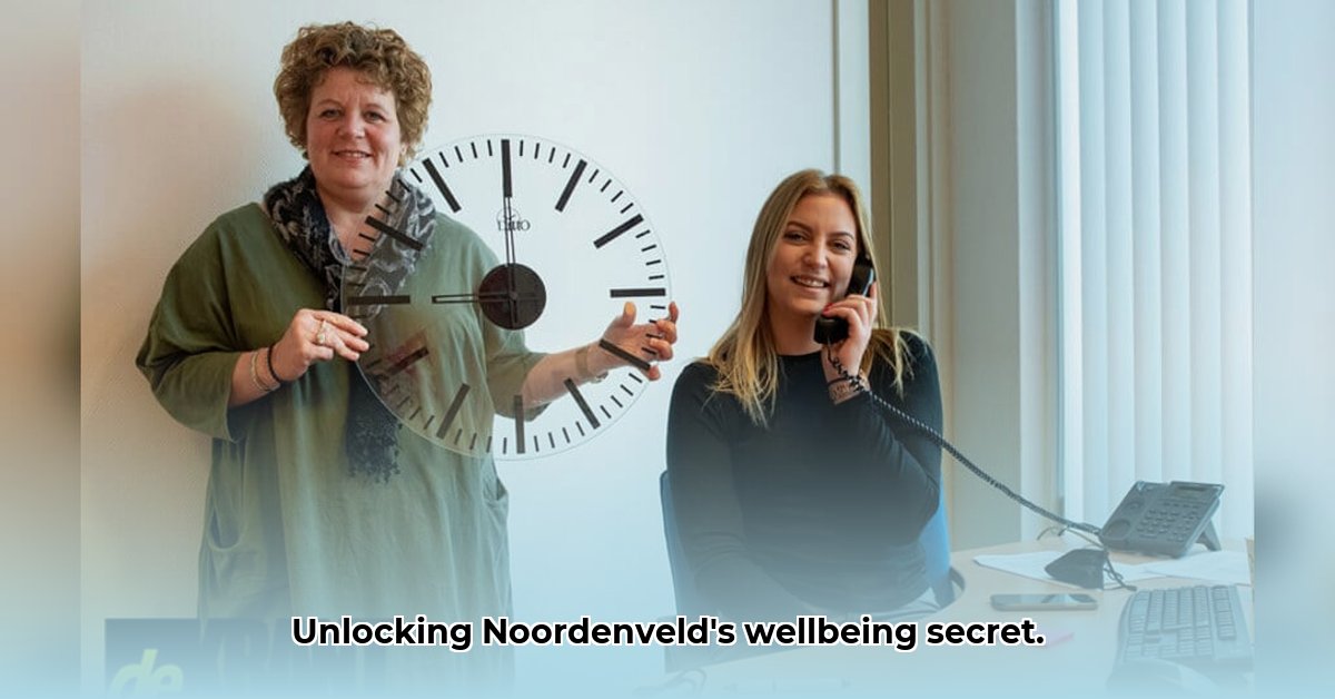 welzijn-in-noordenveld